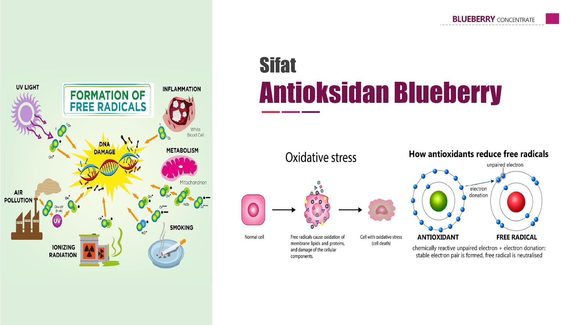 Education content image